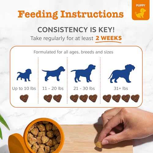 image for Zesty Paws Dog Multivitamin, Chewable Dog Vitamins and Supplements for