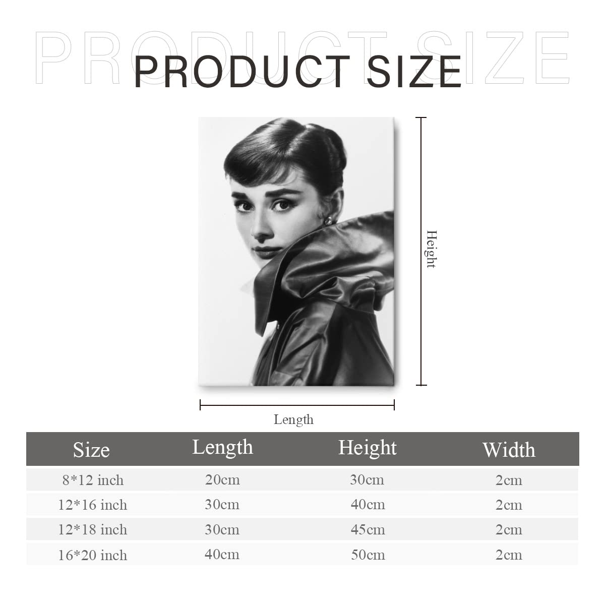 オードリーヘップバーン　パネルアート 水晶絵アートパネルオードリーヘップバーン石立体絵画アートブラック