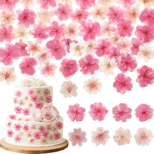 Maasechs 96 Pcs Natural Dried Pressed Edible Flowers Garnishing for Cake Cupcake Topper Decorate Cocktails Drinks Resin Jewelry Making DIY Art Crafts