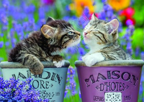 Puzzle 1000 pièces : Bisous de chatons Ravensburger Nathan - vue 4