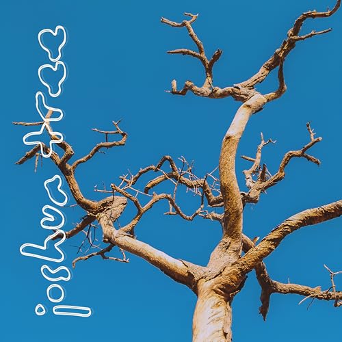  JOSHUA TREE