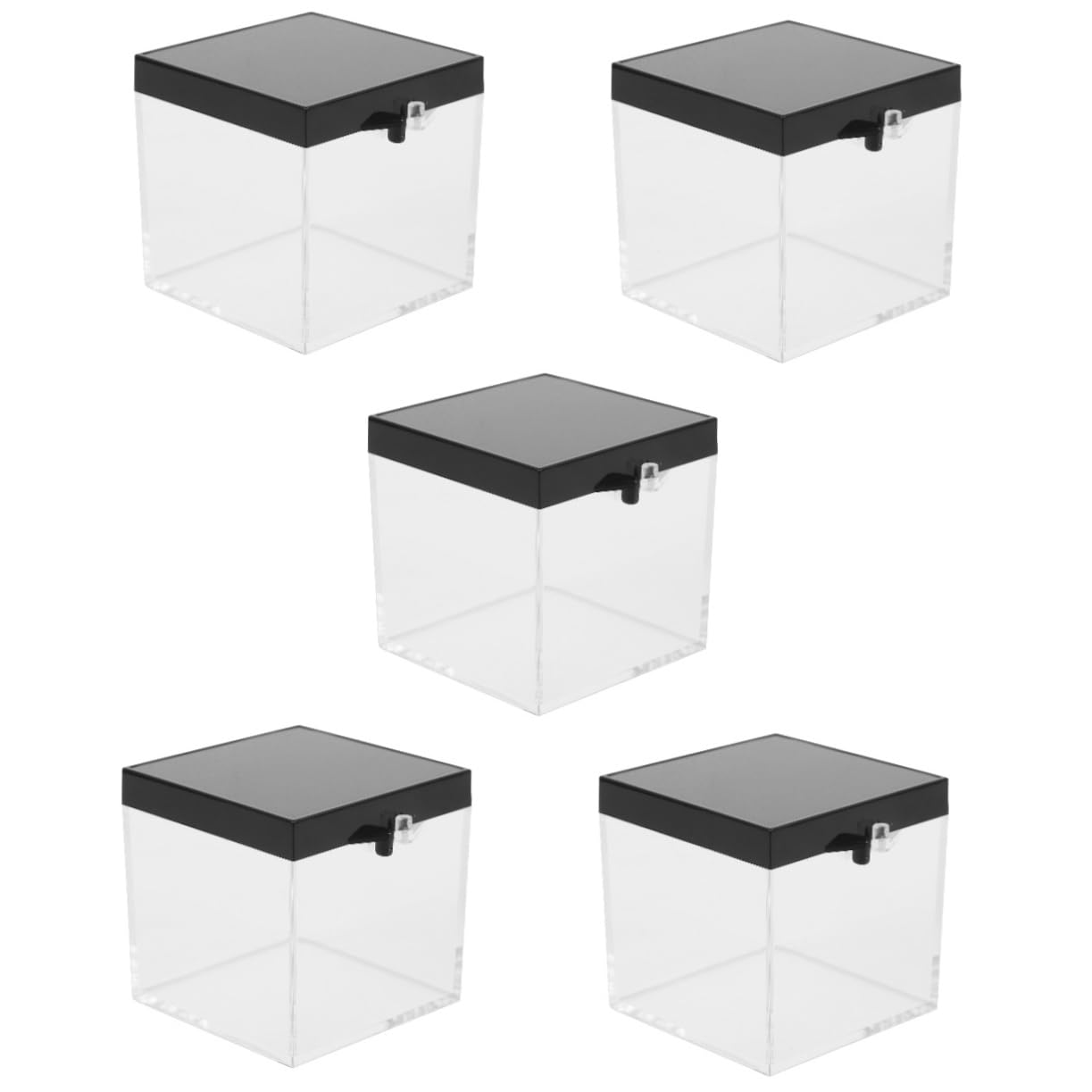 SOESFOUFU 30 Pcs Mineral Standard Box Clear Display Case Clear Guitar Pick Case Mineral Display Case Clear Specimen Case Mineral Sample Case Mineral Storage Case Acrylic Transparent