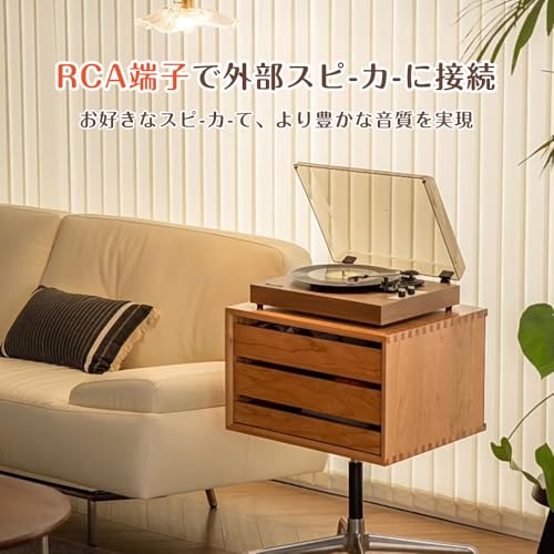 WhatPlus レコードプレーヤー 1900 の商品画像 3