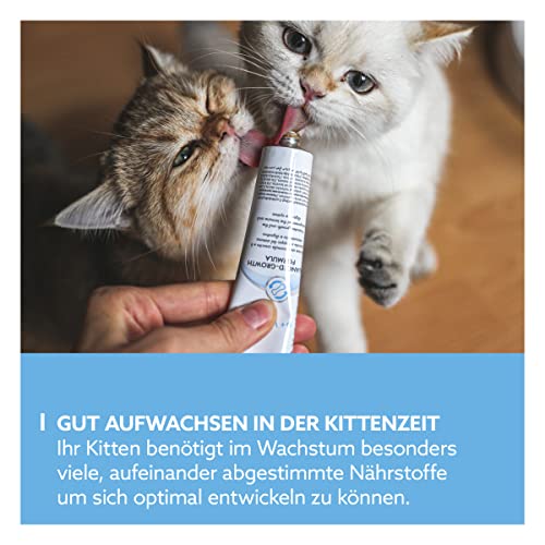 GimCat EXPERT LINE Kitten Paste - Funktionaler Katzensnack fördert die Entwicklung von jungen Katzen - 1 Tube (1 x 50 g)