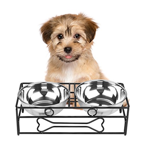 Best Elevated Dog Bowls For Small Dogs 10Reviewz