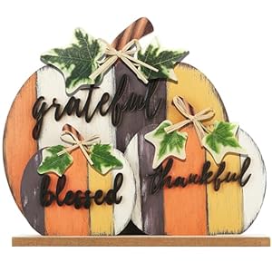 CYNOSA Fall Decorations for Home Blessed Grateful Thankful Fall Decor Farmhouse Wooden Pumpkin Tabletop Signs for Home Thanksgiving Living Room Harvest CYNOSA Fall Decorations for Home Blessed Grateful Thankful Fall Decor Farmhouse Wooden Pumpkin Tabletop Signs for Home Thanksgiving Living Room Harvest