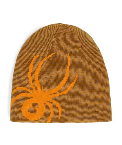 Image of Spyder Boy's Youth Reversible Bug Ski Beanie