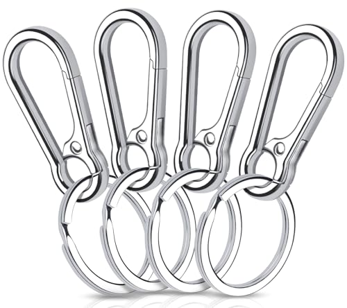 Caianwin 4 Stück Karabiner Schlüsselanhänger Metall Karabinerhaken Klein Schlüsselkarabiner für Schlüssel, Rucksäcke und Charms