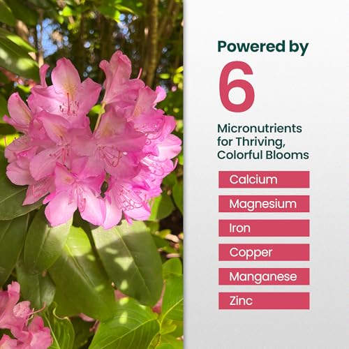 Fertilizante líquido Rhododendron 32oz para plantas miniatura 4