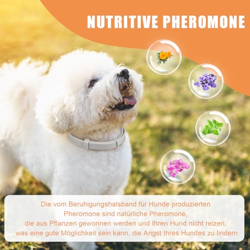 Beruhigungshalsband für Hunde 6 Packungen Hund Pheromon Calm Halsbänder Relief Angst Stress Trennung Lasts 120 Tage Relieve schlechtes Verhalten 25 Zoll Größe einstellbar für alle Hund