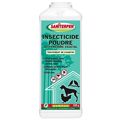 Action Pin Saniterpen Insecticide Poudre Pyrèthre 500 g