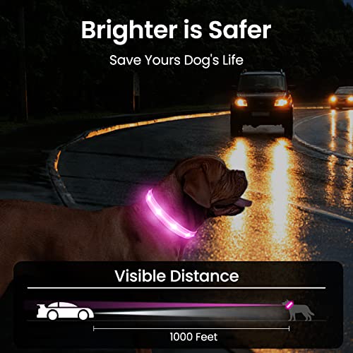 Hundehalsband Leuchtend Aufladbar, Leuchthalsband Hund 7 RGB Farbwechsel mit 8 Leuchtmodi, Verstellbare LED HundeHalsband Wasserdicht für Kleine Mittlere Große Hunde Leuchtendes Halsband, Rosa M