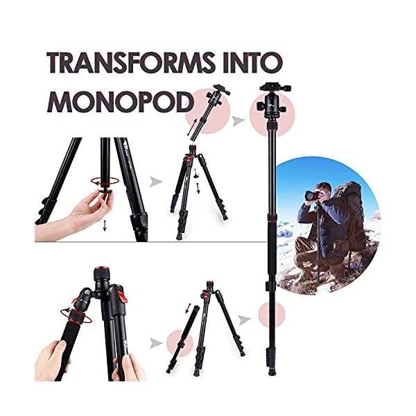 Kamerastativ Fotostativ faltbar Kamera Handy Stativ Dreibeinstativ Tripod aus Aluminium, 160cm Tragfähigkeit bis 8KG mit… – Bild 6