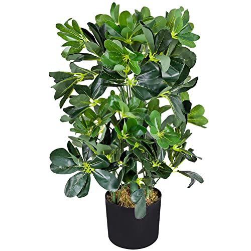 Decovego Schefflera Aralie Strahlenaralie Arboricola Kunstpflanze Kunstbaum Künstliche Pflanze 60 cm Innendekoration Kunst Pflanze wie echt im Topf