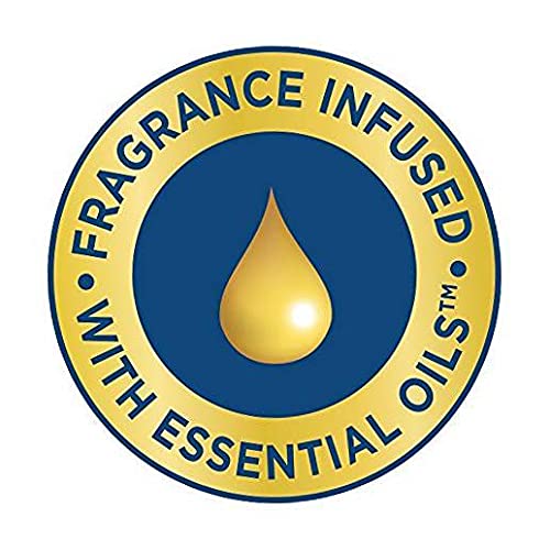 Glade PlugIns Refills Air Freshener Starter Kit, Scented and Essential Oils for Home and Bathroom, Tranquil Lavender & Aloe, 4.02 Fl Oz, 2 Warmers + 6 Refills - image 5