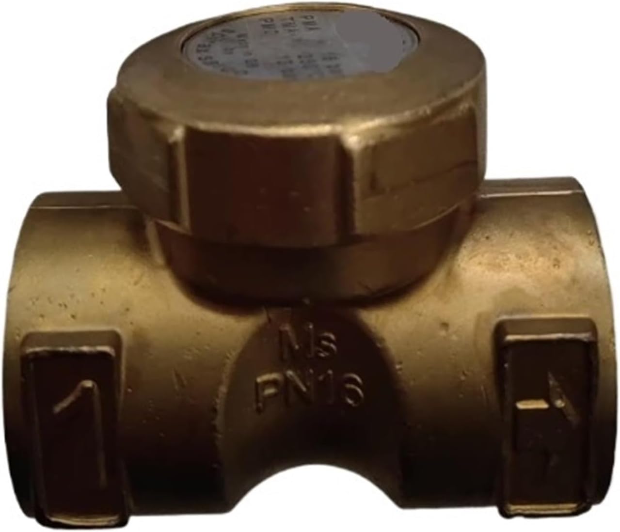 Steam Trap BPT13SX
