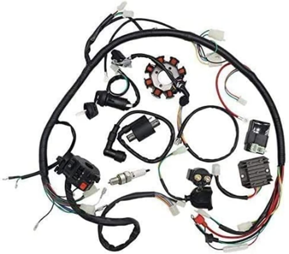 Annpee Complete Wiring Harness kit Wire Loom Electrics Stator Coil CDI for ATV Quad 4 Four Wheelers 150CC 200CC 250CC Go Kart Dirt Pit Bikes