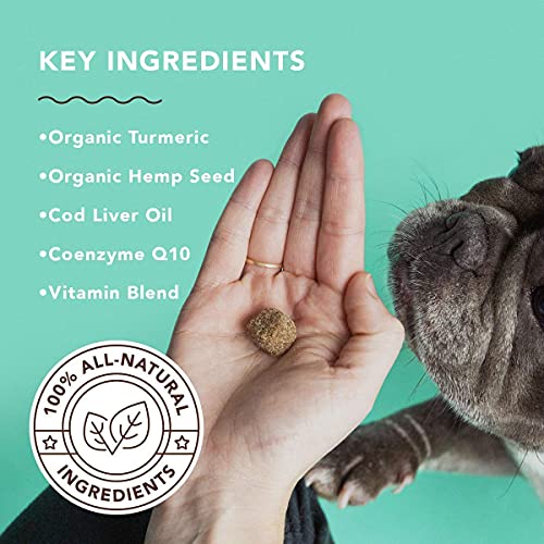 Natural Dog Company Multivitamin Chews (90 Pieces), Dog Vitamins and