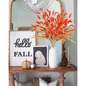 8Pcs Fake Fall Flowers Stems, 28inch Artificial Orange Bunny Tail Flowers Faux Fall Floral Arrangements for Vase Home Wedding Centerpieces Fall Thanskgiving Decor 8Pcs Fake Fall Flowers Stems 28inch Artificial Orange Bunny Tail Flowers Faux Fall Floral Arrangements for Vase Home Wedding Centerpieces Fall Thanskgiving Decor
