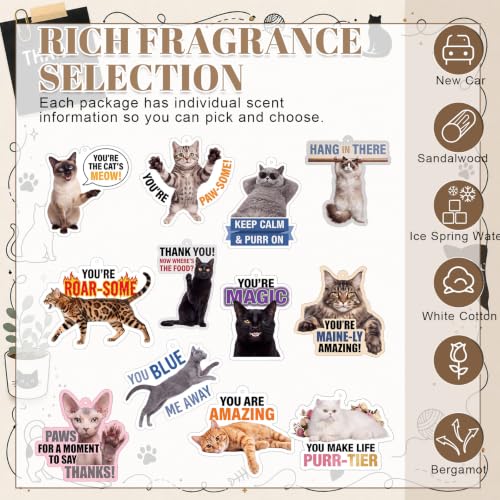 Image of Siifert 24 Pcs Vet Tech Appreciation Week Gift Bulk Cat Air Freshener Car