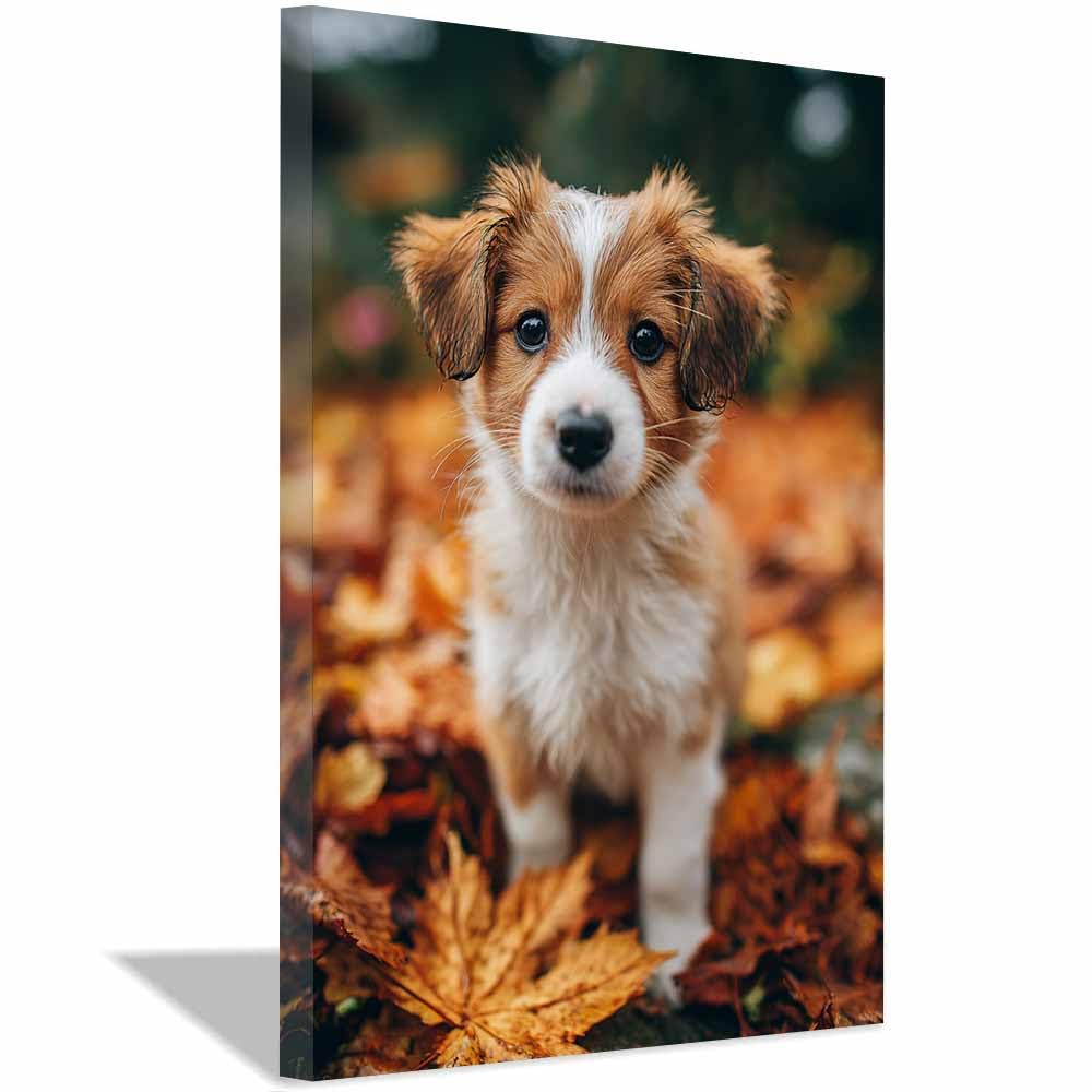 ZAMAEIU Canvas Print Wall Art puppys autumn Abstract Dog Animal Paintings, Suitable for living room, bedroom, for Kids Room Decoretc.(yellow)-80x120cm Framed
