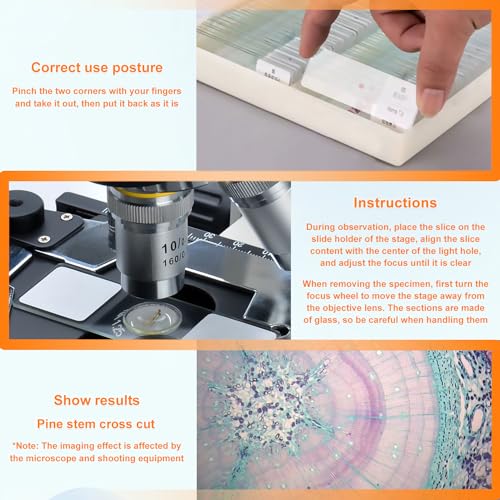 HUAREW 60 Pcs Mikroskop Objektträger mit Biologischen Proben, Pflanzen Insekten Menschliche Zelle für Labor Biologie und Wissenschaft Studium, Mikroskop Zubehör, Dauerpräparate für Mikroskop.
