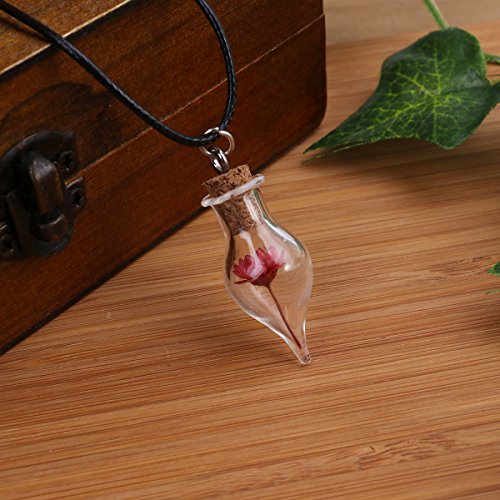 OULII Colar em miniatura com pingente de flor seca real para terrário, joia natural, flor vermelha,
