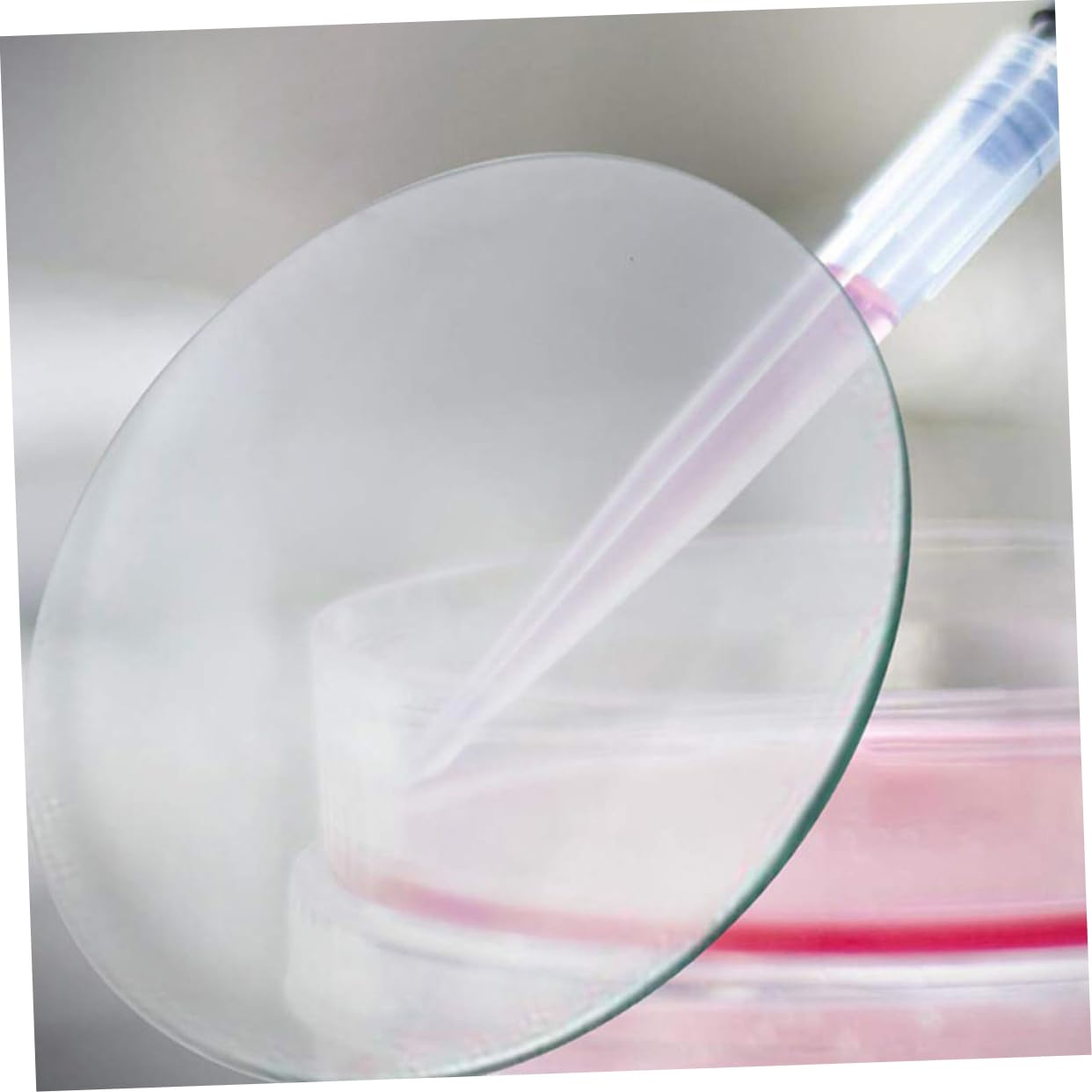10pezzi Vetri da Orologio Trasparenti Piatti per Laboratorio Coperchi per Becher in Vetro Accessori Scientifici Robusti e Resistenti alla Deformazione per Esperimenti