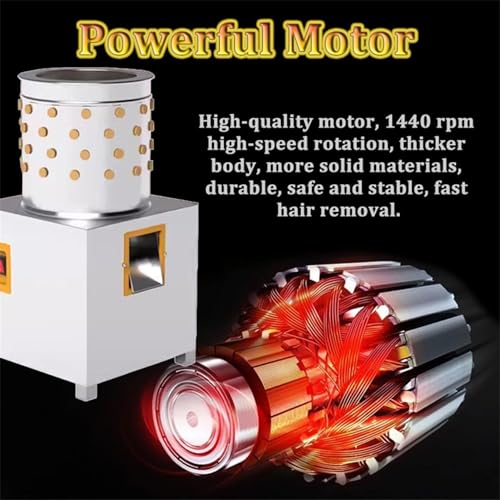 Máquina desplumadora de pollo de acero inoxidable, para pollo, aves de corral, pato, pavo, codorniz, máquina automática de desplumado de pollo, 210 W, capacidad de 3 a 5 pollos una vez
