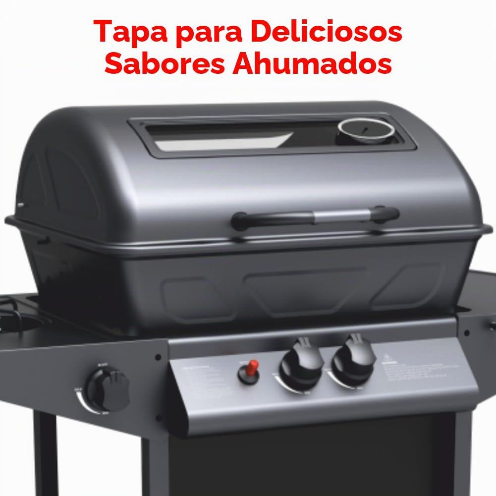 Barbacoa de gas con piedra volcánica y barbacoa de gas, 2 quemadores + estufa lateral estructura de acero con plano lateral de apoyo y 3 perchas Pratiko Life