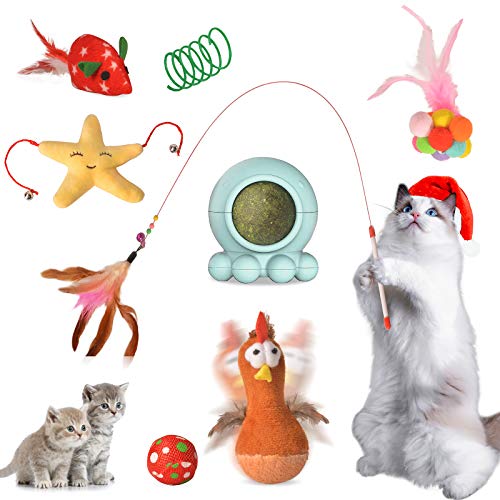 Catnip Toys Set, Cat Toys Kitten Toys, 8PCS Cat Interactive Toys for Indoor Cats, Included Edible Catnip Ball with 360° Rotatable, Cat Wand, Catnip Mice, Cat Feather Toys Bell Toys, Spring for Kitty