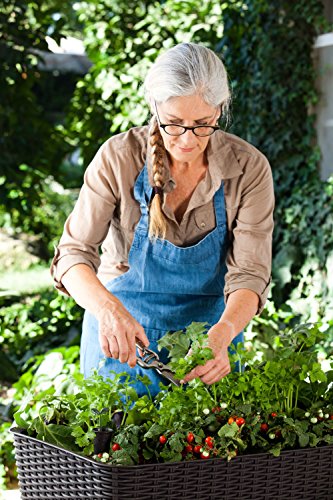 Keter Easy Grow- Mini Huerto en casa con depósito de Agua, 114 x 49,3 x 75,7 cm, Color Marrón; Cultivo en casa