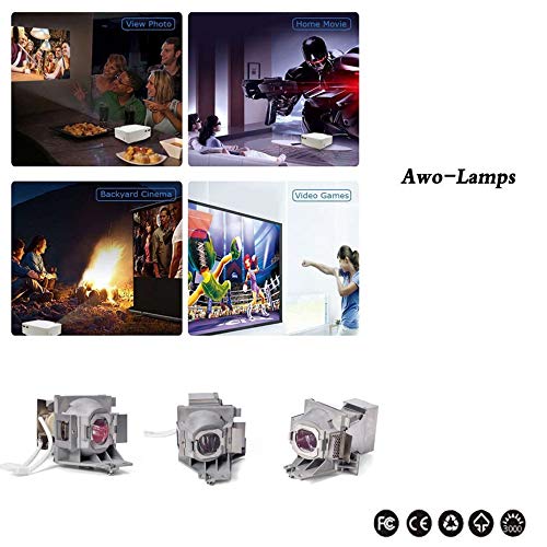 AWO Original Projector Lamp Bulb 5J.JEE05.001 with Housing for BenQ HT2050,HT2150ST,HT3050,W1110,W1120,W1210ST,W2000,W2000+ Projector