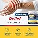 OWELL NATURALS Pain Relief Ointment - 3.5 oz 2 Pack - Maximum Strength All Natural Discomfort Reliever for Joint, Muscle, Knee, Back, Neuropathy - 5 Powerful Ingredients