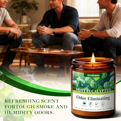 Image of Mint Eucalyptus Odor Eliminating Candles | Eliminates 95% of Pet, Smoke, Food, and Other Smells Quickly - 7 oz Soy Candle for Home Scented - Air Freshing Scented Candles Gifts for Women Men