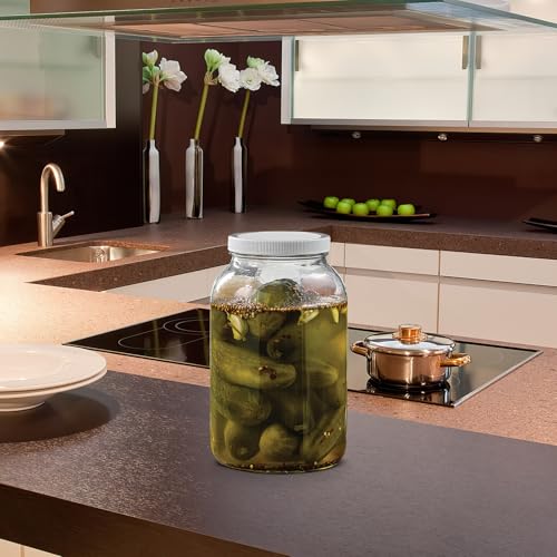 Tarro de conserva galón de diseño elegante y simple en vidrio resistente al calor VALICLUD 5