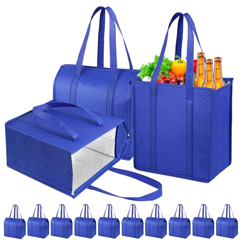 Reusable 10-Pack Foldable Thermal Bags