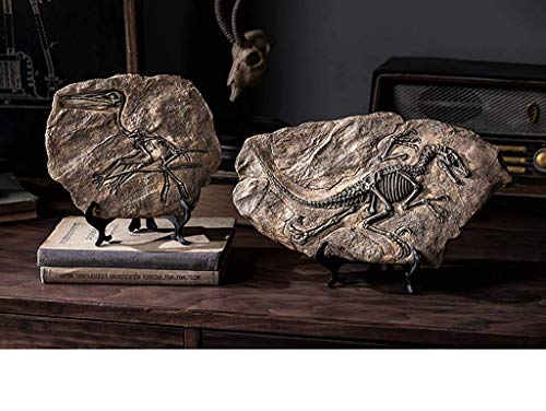 DZX Hauptdekoration Dinosaurier Fossil Statue, Harz Dinosaurier Fossil Modell Büro Wohnzimmer Weinschrank Dekoration… – Bild 4