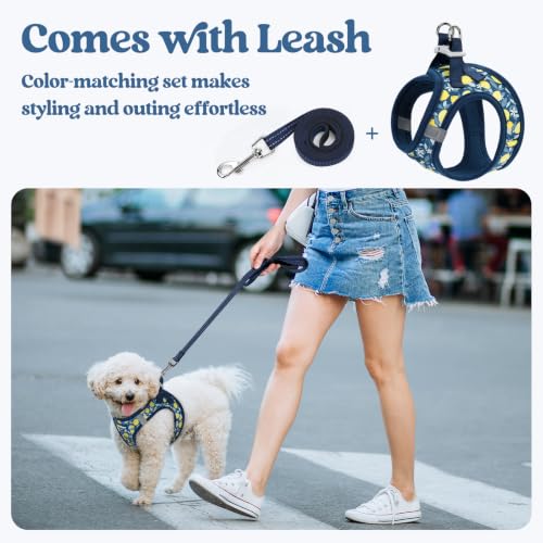Image of rabbitgoo Dog Harness Small Sized and Leash Set, Step-in Puppy Pet Vest