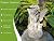 MeritMode 12.8" Fairy Garden Outdoor Guardian Angel Statue - Waterproof Resin with Flower Base, Unique for Patio, Balcony & Yard Decor