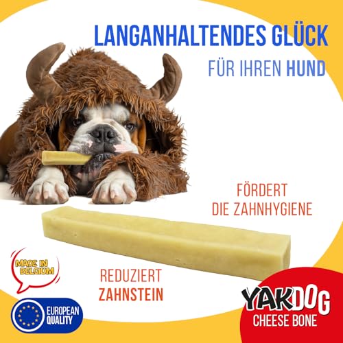 YAKDOG – Käsesticks für Hunde – Langanhaltende Kausnacks – 100% Natürlich – Traditionell aus dem Himalaya – Hergestellt in Belgien – XS - 5 Stück