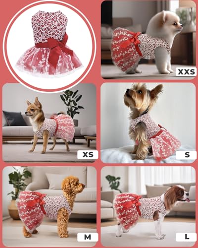 Image of CuteBone Dog Birthday Christmas Dress Girl Puppy Skirt Tutu Cat Wedding Outfit Pet Party Clothes for Small Dogs Costume DD09XXS