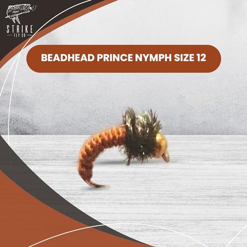 Strike Fly Beadhead Prince Nymph with Black Collar 1 Dozen - Nymph Fishing Flies Assortment - Size 12 Fishing Accessories - Versatile Hook Sizes - Expertly Tied Flies