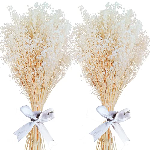 Oning Getrocknete Schleierkraut im Großhandel - 3000+ Stück, 2 Bund echte Gypsophila, 17', natürlich getrocknet, ideal für DIY-Vase, Blumenhochzeit, Heim und Party Dekoration