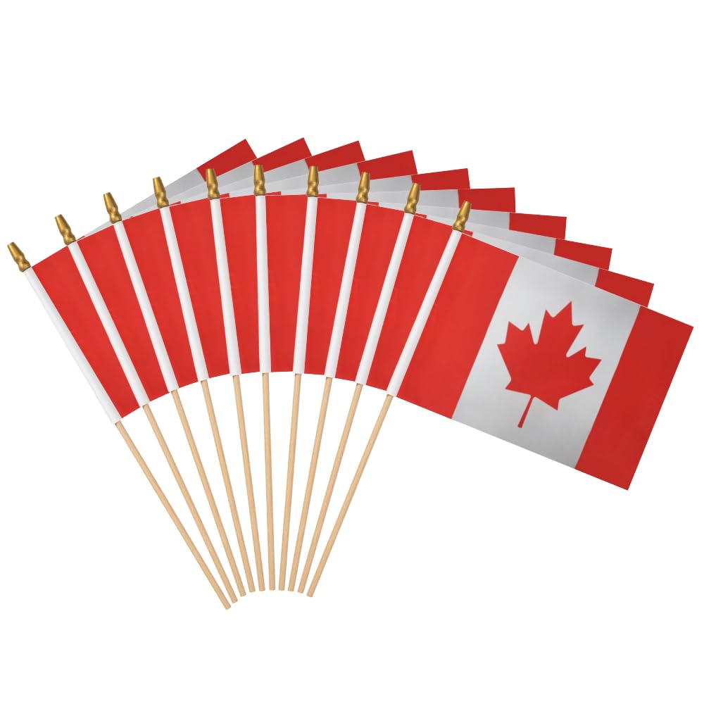 Petits drapeaux à main Canada 12 pièces pour défilés et événements