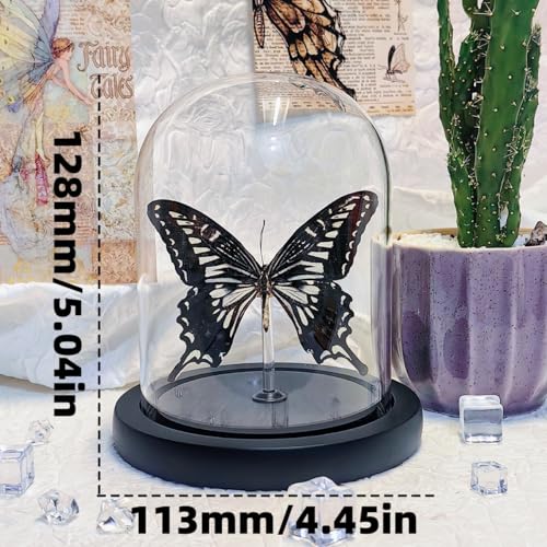 Handmade Butterfly Specimen Glass Cover Display - Exquisite Decorative Artwork, for Home Decoration, Office, Classroom, Science Exhibitions, and Various Occasions — view 3