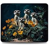 【Imperméable et Facile à Nettoyer】 Le revêtement imperméable du tapis de souris le protège efficacement des éclaboussures de liquide. Il est également résistant à la poussière et à la transpiration. En cas d'éclaboussure, les gouttes d'eau glissent facilement. Un simple coup de chiffon suffit pour le nettoyer et vous permettre de jouer ou de travailler sans interruption.