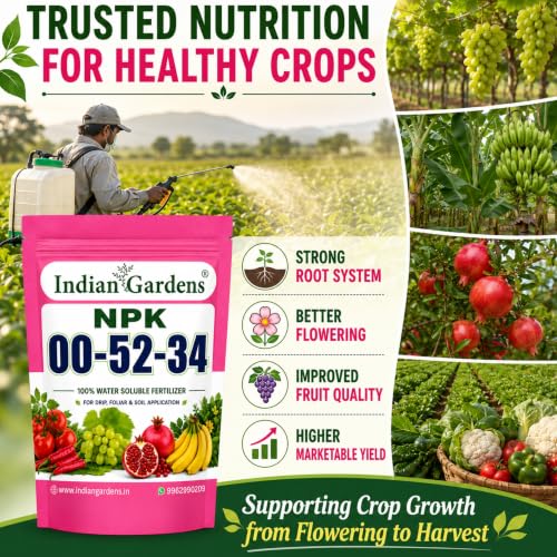 Image of Indian Gardens NPK 00:52:34 Water Soluble Fertilizer (250 Grams) | High Phosphorus & Potassium Plant Nutrient | Promotes Root Development | Suitable for Vegetables, Fruits, Flowers & Garden Plants