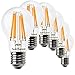 SunSeed 6x Lampadina E27 Filamento LED 12W Goccia A60 1500 Lm Luce Calda 2700K