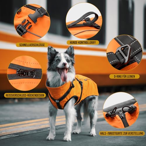 OneTigris Hundejacke, Wasserdichter Winterweste Jacken Hundemantel Mit Bediengriff, Bequeme Ausscheidung, Reißverschluss und Elastisches Design, Einfaches An-und Ausziehen, Reflektierend,M,Orange